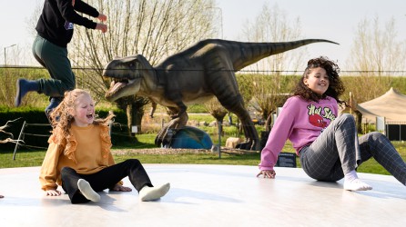 Dino Experience header springen