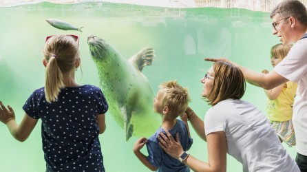 Zoo Osnabrueck header zeehond
