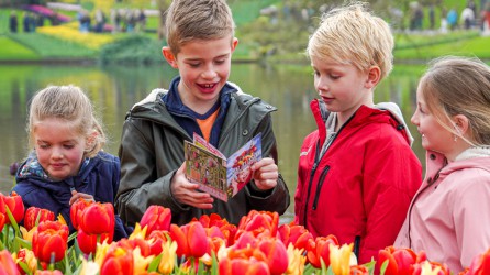 Keukenhof Header 2