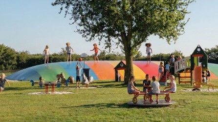 De Goudvis header overzicht