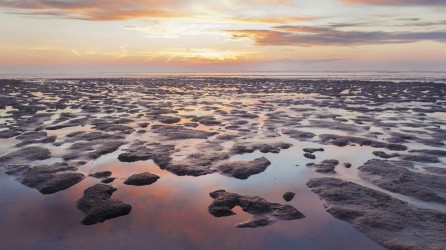 Dijkstra Wadlooptochten header wad