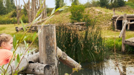 Dierenrijk Header 1