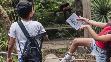 Artis header schoolkids