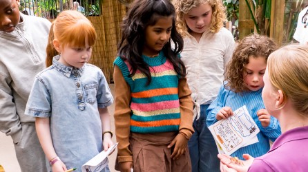 Almere Jungle header uitleg
