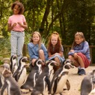 Slide 2 - AquaZoo Leeuwarden