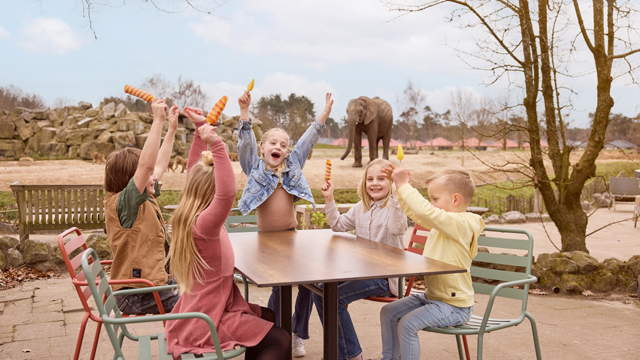 Safaripark Beeksebergen Ijsjes