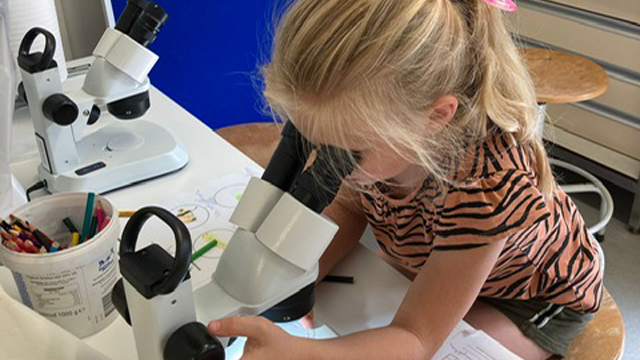Kasteelpark Born Microscoop