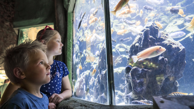 Zoo Osnabrueck aquarium