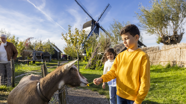 Kinderdijk Geitje