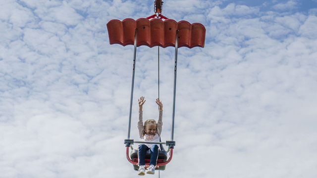 Recreatiepark Linnaeushof attractie