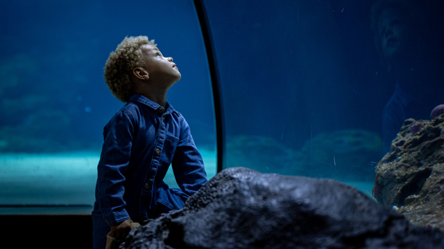 Diergaarde Blijdorp Oceaan