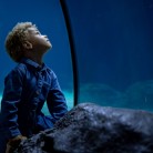 Slide 2 - Diergaarde Blijdorp