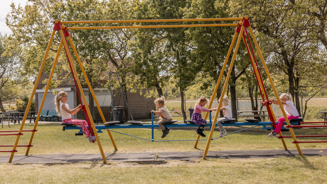 De Goudvis kinderen op schommel