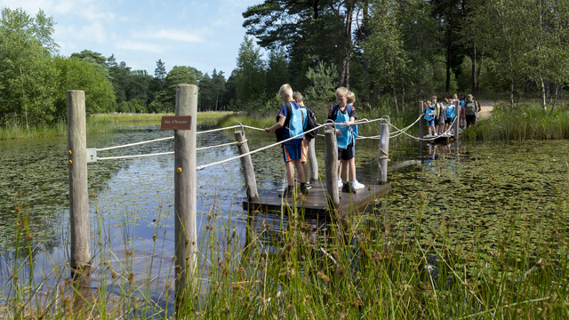 Hoge Veluwe Vlot