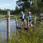 Slide 2 - Het Nationale Park De Hoge Veluwe