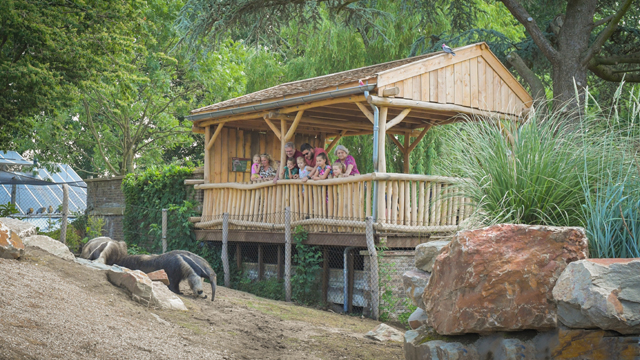 Avifauna Uitkijkplek