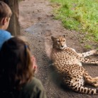 Slide 3 - ZooParc Overloon