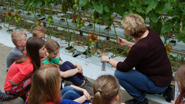 Boerderijeducatie Fruit teelen