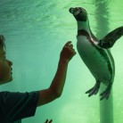 Slider 4 - WILDLANDS Adventure Zoo Emmen