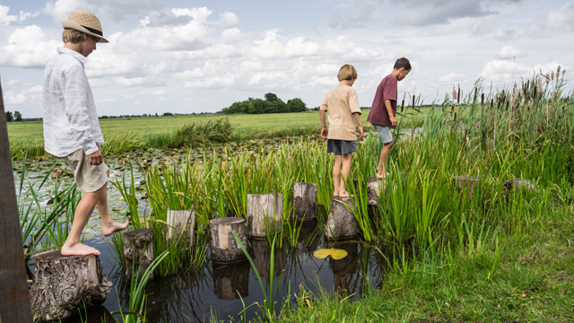 Kameryck Houtenblokken