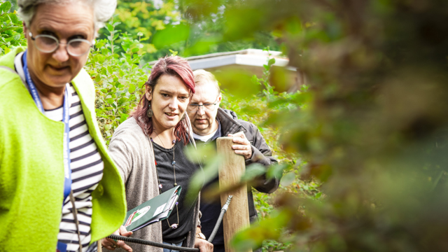 Drielandenpunt Looppad