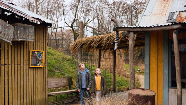 ZooParc Maki