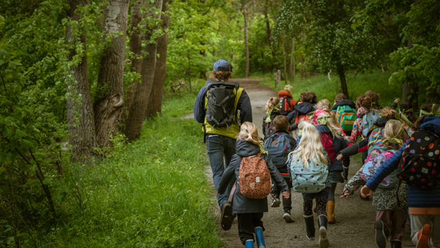 Natuurschool educatie bos