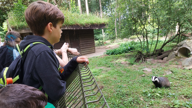 Biotopwildpark Anholter Schweiz schoolreisje