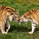 Slide 1 - AquaZoo Leeuwarden