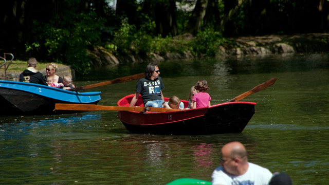 Steinerbos varen