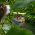 Slider 3 - WILDLANDS Adventure Zoo Emmen