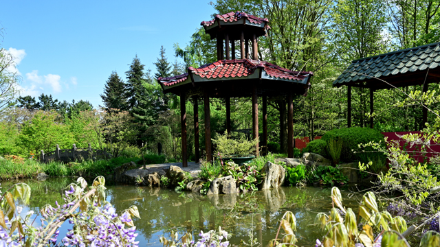 Mondo Verde Chinese tuin