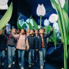 Highlights of Holland - Slide 1