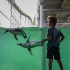 Slider 2 - WILDLANDS Adventure Zoo Emmen