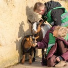 Slider 4 - WILDLANDS Adventure Zoo Emmen