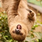 Slide 4 - ZooParc Overloon