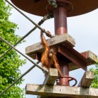 Slide 3 - Ouwehands Dierenpark Rhenen