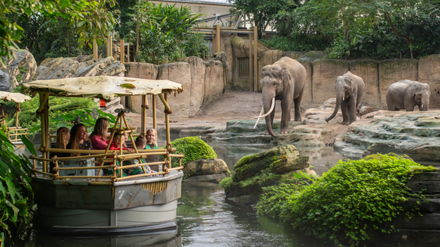 Wildlands Rondvaart Olifanten