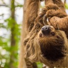 Slider 3 - WILDLANDS Adventure Zoo Emmen