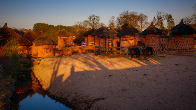 Pairi Daiza Safari