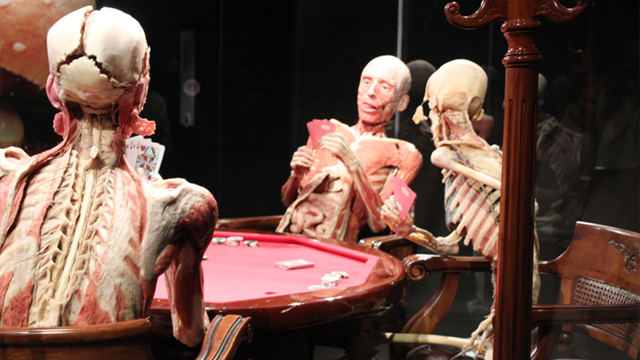 Body Worlds kaarten