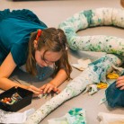 Museum Cobra - Slide 1