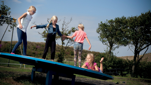 De Goudvis Draaischijf