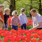 Slide 1 - Keukenhof Holland