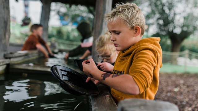 Dino Experience goudzoeken
