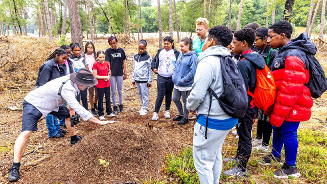 Hoge Veluwe schoolgroep