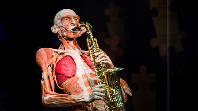Body Worlds saxofoon