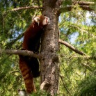 Slide 3 - Diergaarde Blijdorp