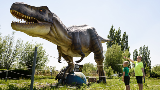 Dino Experience T Rex