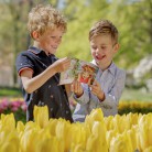 Slide 3 - Keukenhof Holland